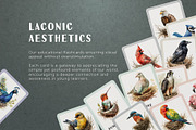 Birds and Their Nests Flash Cards, an Education Illustration by Pix Cafe (Thumbnail 2 of 10)
