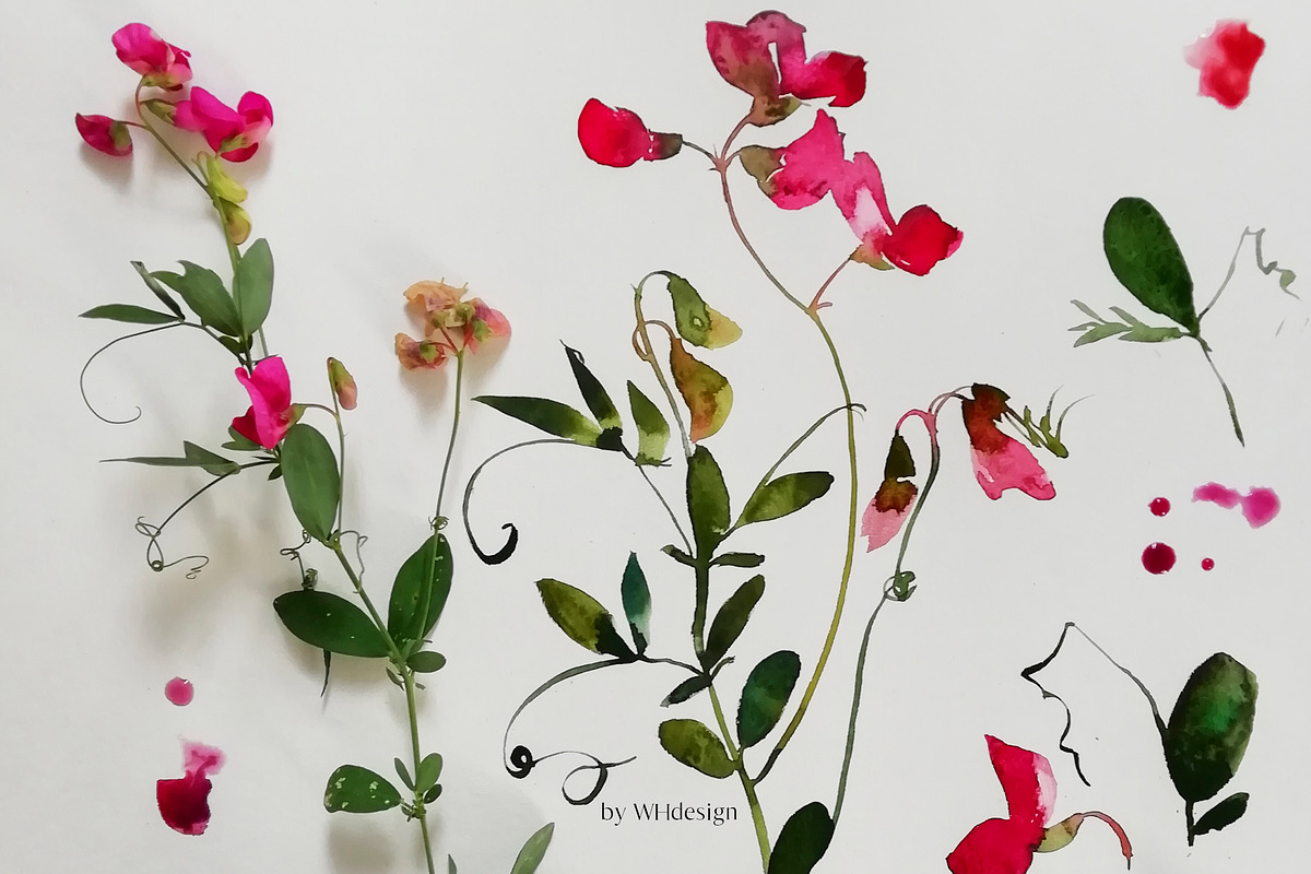 Midsummer - field flowers clipart, a Decorative Illustration by whiteheartdesign (Photo 10 of 16)
