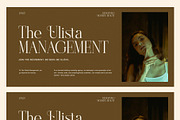 Brilion Elegant Serif Font, a Serif Font by Graphicxell (Thumbnail 3 of 8)