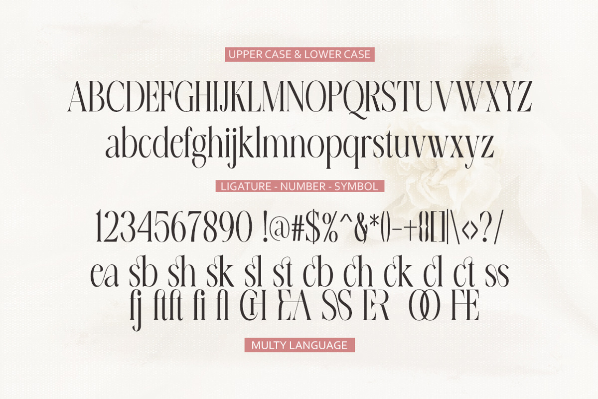 Erangle, a Serif Font by Gatype (Photo 9 of 9)