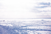 Winter Stock Photos Pack, a Nature Photo by NViolet (Thumbnail 3 of 5)