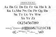 Sherwood, a Serif Font by LetterStock (Thumbnail 8 of 8)