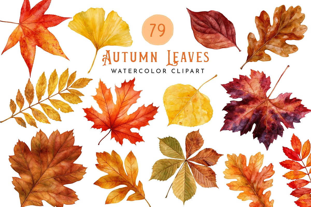 Watercolor Autumn Leaves Clipart, a Decorative Illustration by Nicolle's Colorful Art (Photo 1 of 5)