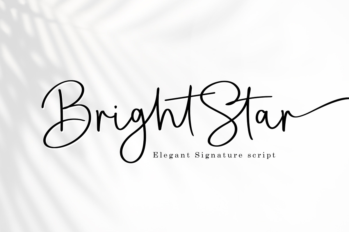 Swashy Font Bundle, a Script Font by Sulthan Studio