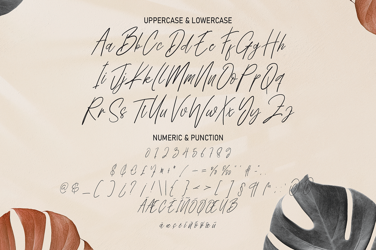 Tropical | Script Font, a Script Font by Scratchones