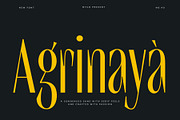 MTC Agrinaya - a Condensed Display, a Sans Serif Font by Martype Co (Thumbnail 1 of 9)