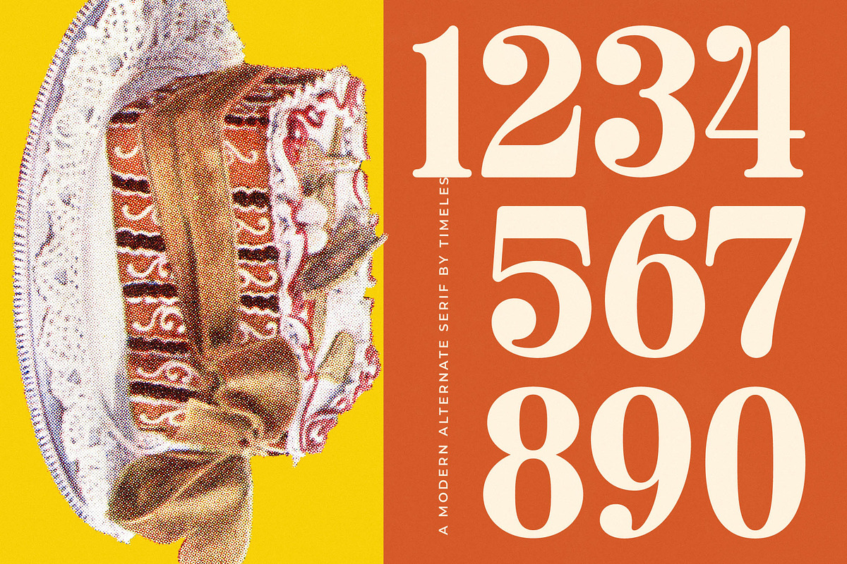 Roman Magicel Modern Alternate Ser, a Serif Font by timelesstype.co (Photo 14 of 20)