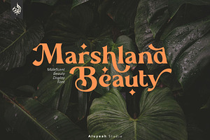 Marshland Beauty, a Font by Aluyeah Studio