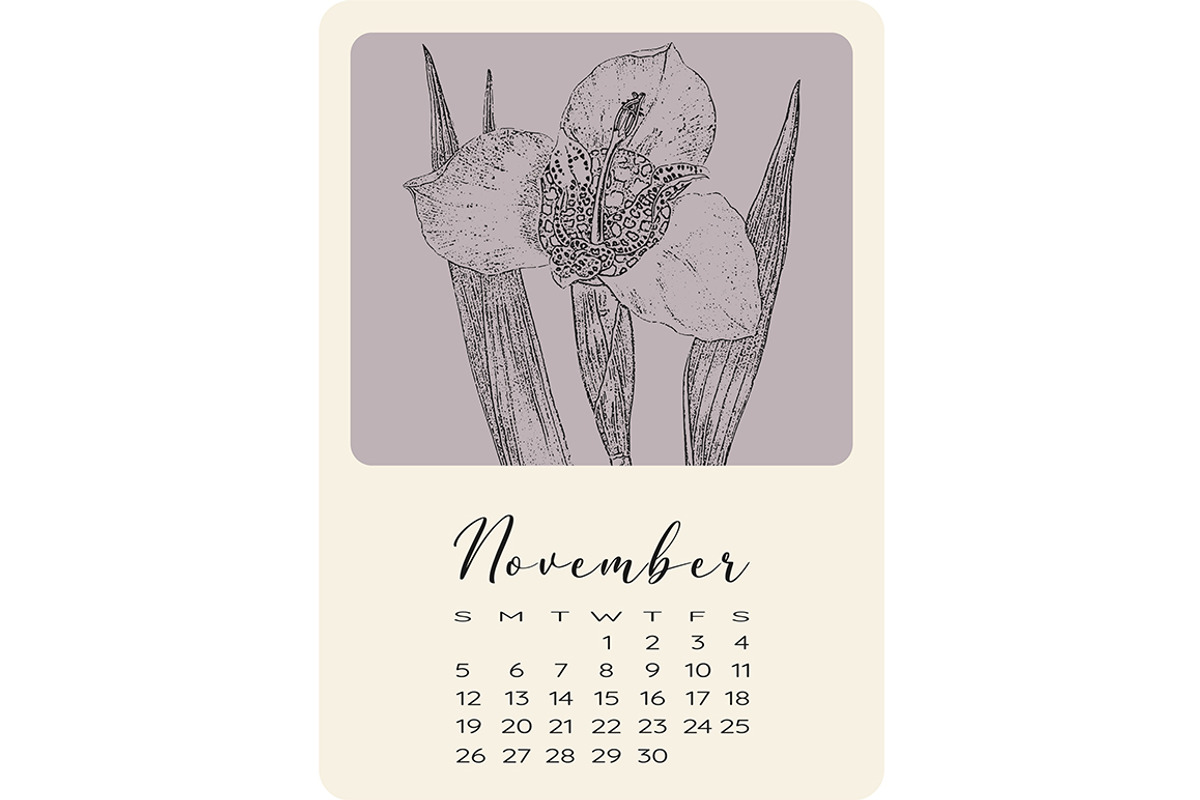 Calendar with monochrome flowers, a Stationery Template by NatalyN (Photo 12 of 13)