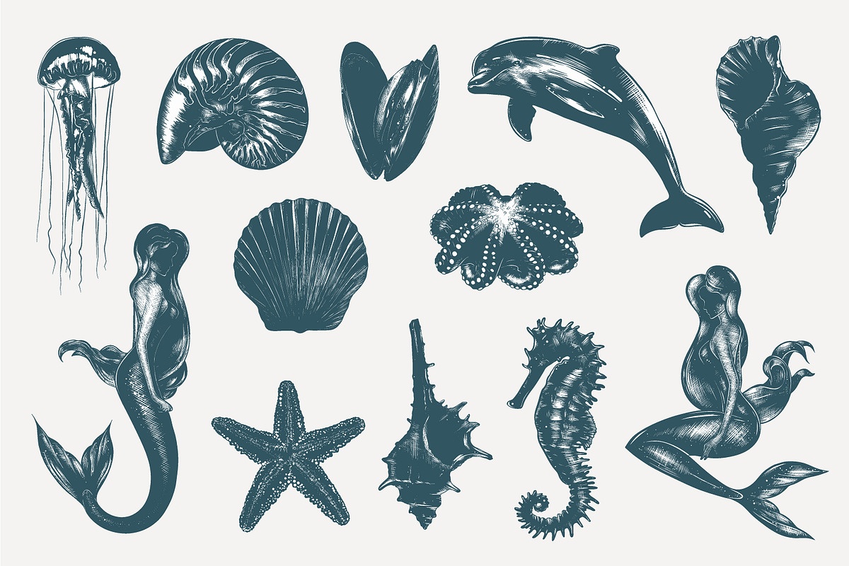 Ocean life hand drawn sketches, an Animal Illustration by Akimo Mia (Photo 2 of 7)