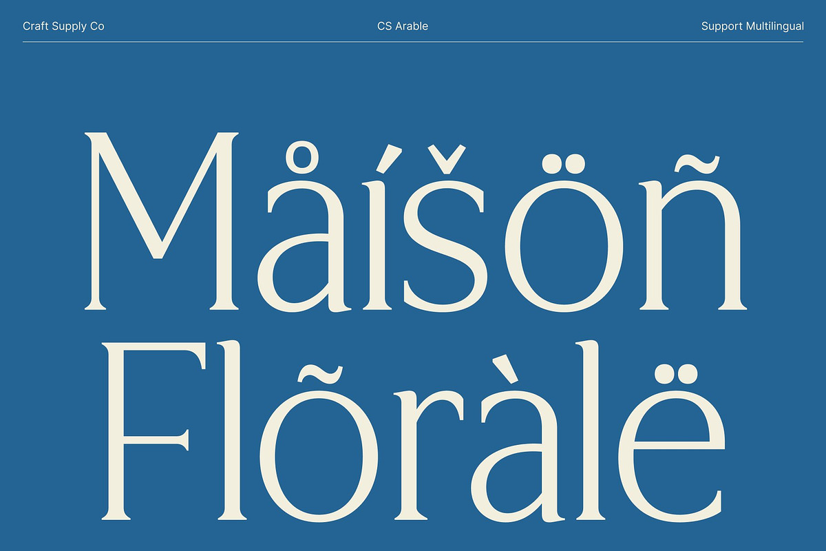CS Arable – Elegant Serif Font, a Serif Font by Craft Supply Co. (Photo 7 of 8)