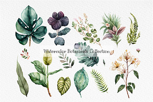 Watercolor Beautiful Botanicals