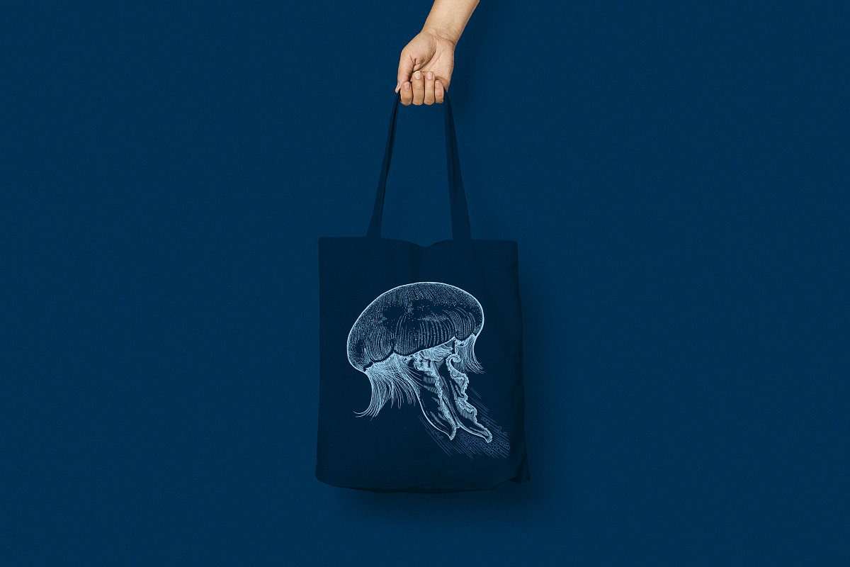 Hand Drawn Sea Critters Set, an Animal Illustration by Well Rock Designs (Photo 8 of 8)