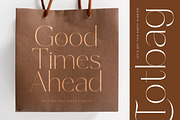 Amethys Mistralit Modern Display, a Serif Font by Letterena Studios (Thumbnail 5 of 15)