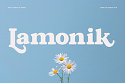 Lamonik Display Serif Font, a Serif Font by Rasio Studio (Thumbnail 7 of 11)