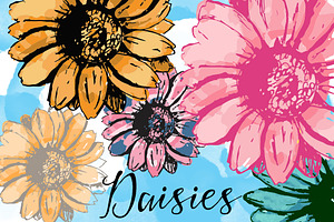 Daisies Flowers drawn watercolored