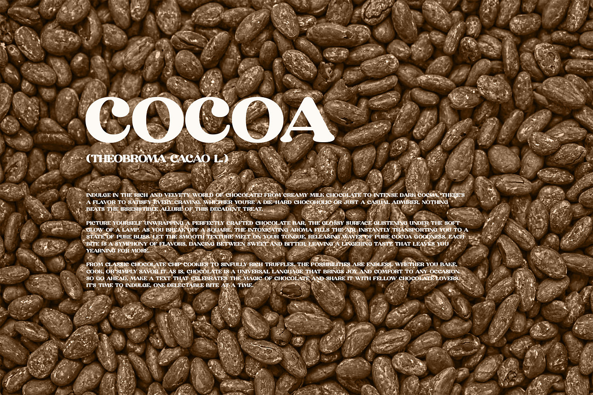 Gaqun Serif Font, a Serif Font by Perfectype (Photo 9 of 10)