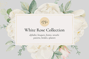 Watercolor White Rose Collection