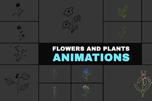 Flowers & Plants Animations DaVinci, a Templates & Theme by FlashFXbox