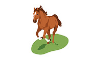 Horses, equine animals running set, an Animal Illustration by Good Studio (Thumbnail 4 of 13)