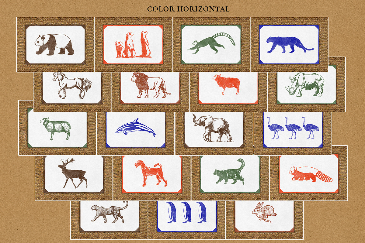 Colonial style Animals posters, an Animal Illustration by Garden in frame (Photo 9 of 11)