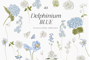 Delphinium Blue Delicate Flowers