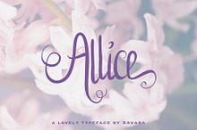 Allice + Extras 20% OFF