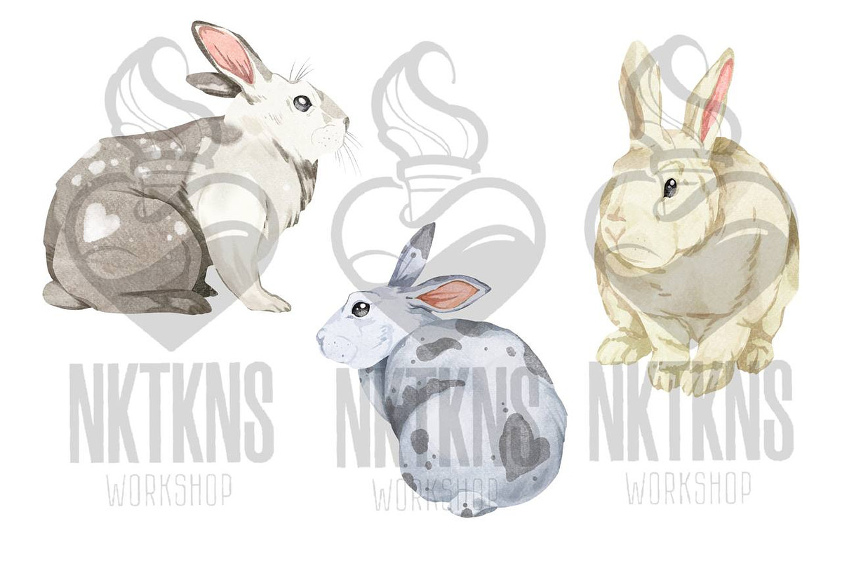 Watercolor Easter Clipart. Rabbit, an Animal Illustration by NKTKNS (Photo 2 of 4)