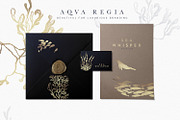 Aqva Regia - Underwater Designer Set, an Illustration by studioequinox (Thumbnail 4 of 9)