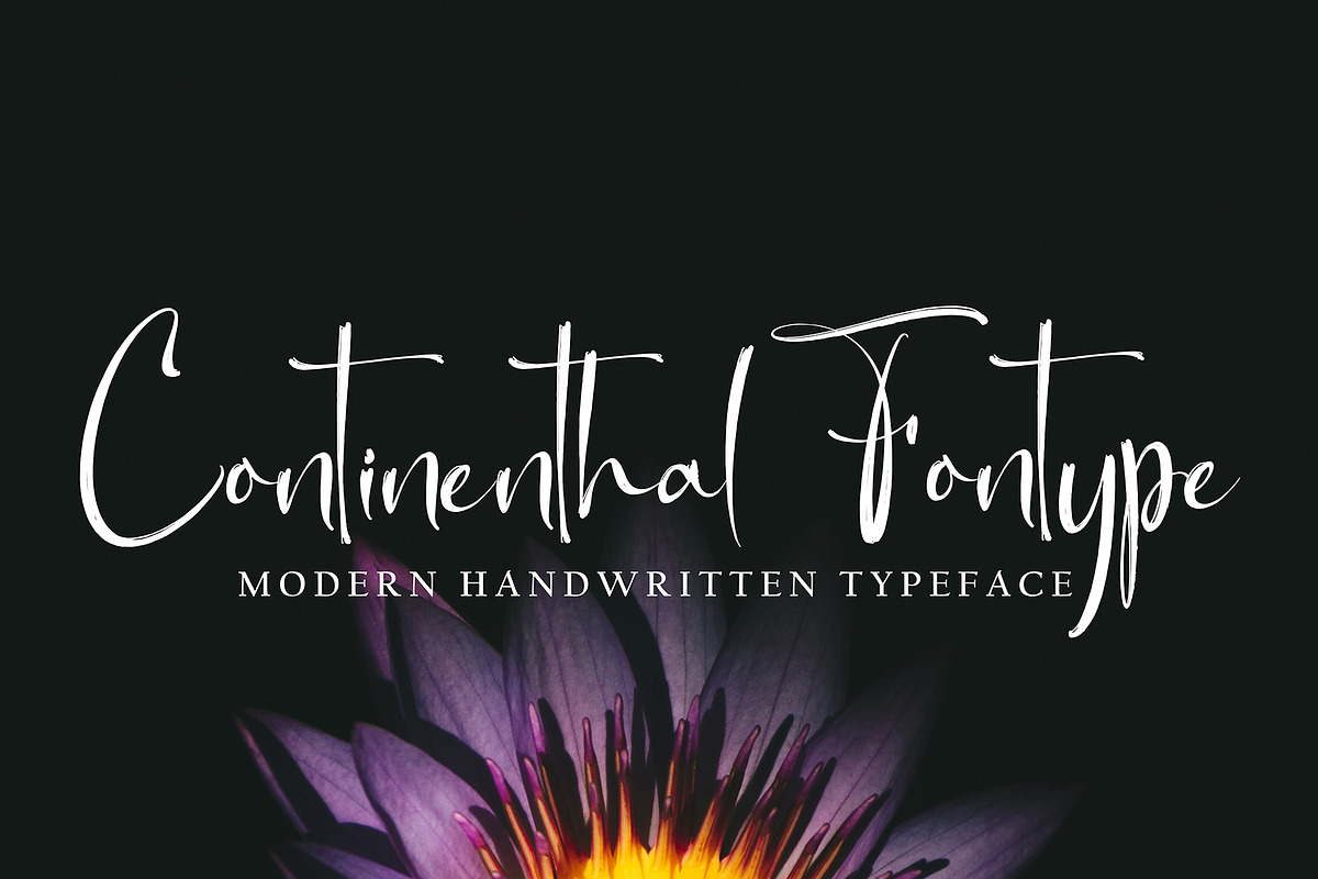 Bird Ruth, a Handwritten Font by pineungtype (Photo 4 of 6)