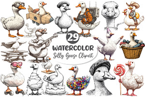Silly Goose Sublimation Clipart, an Illustration by Dream Creation