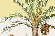 Date Palm - Watercolor Clip Art, an Education Illustration by Tati Bordiu (Thumbnail 5 of 5)