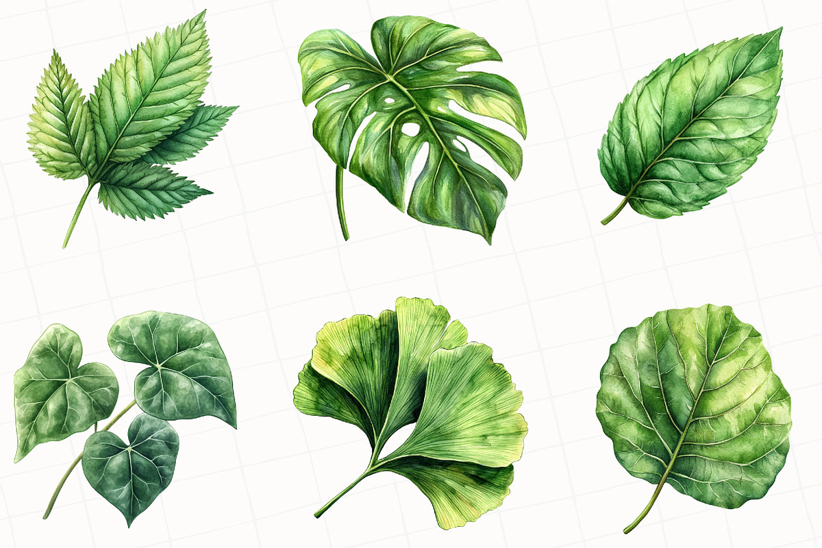 Green Summer Foliage Clipart, an Illustration by OK Design (Photo 3 of 5)