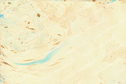 Watercolor bark paper, a Texture Graphic by le-genda (Thumbnail 14 of 15)