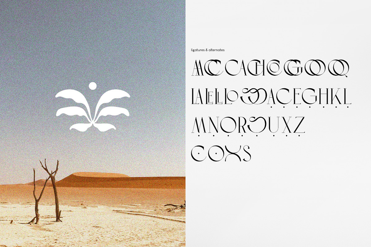CROISAN Elegant Font, a Serif Font by Hishand Studio (Photo 2 of 10)