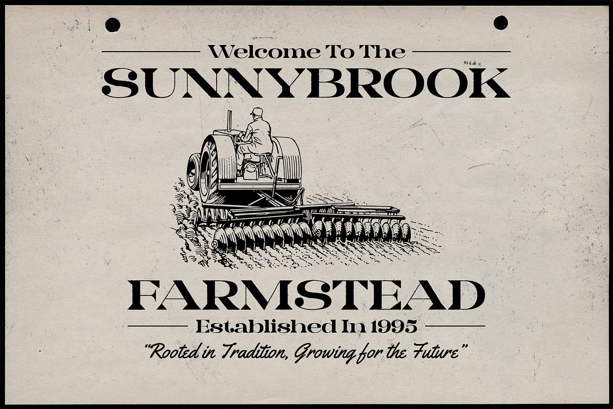 Lamna Rough, a Serif Font by Craft Supply Co. (Photo 5 of 8)