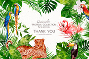 Tropical Collection Watercolor, a Decorative Illustration by Yakovleva Margarita (Thumbnail 20 of 20)