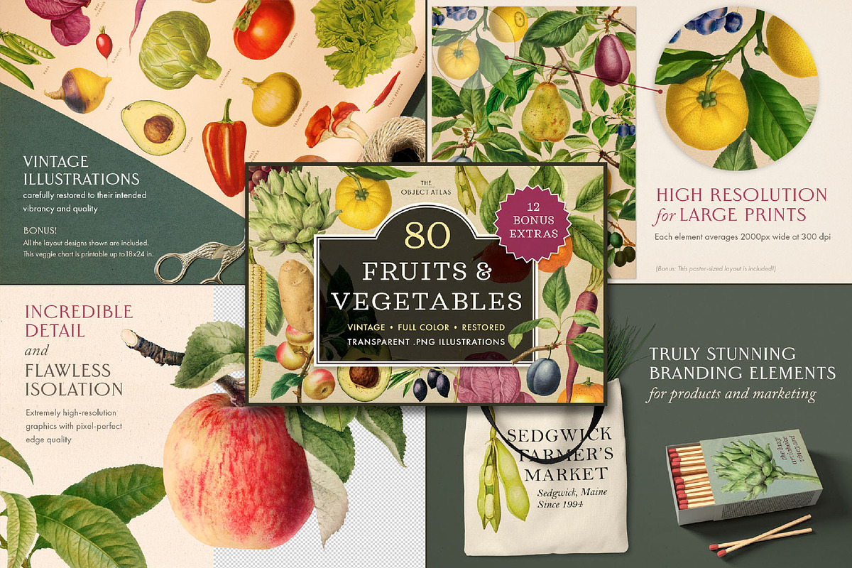 Vintage Bundle – 60% Off! – 21 Packs, an Object Graphic by The Object Atlas (Photo 9 of 26)