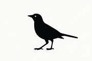 Bird Silhouette design bundle, an Illustration by hafijul (Thumbnail 5 of 13)