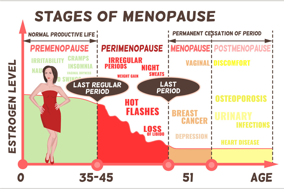 Stages and symptoms of menopause, an Education Illustration by Anna's Shop