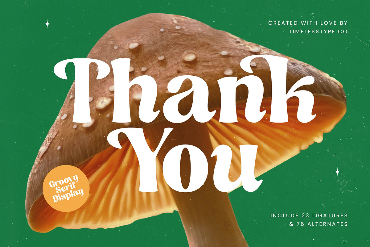 Nothing Magic Retro Groovy Serif, a Serif Font by timelesstype.co (Photo 20 of 20)