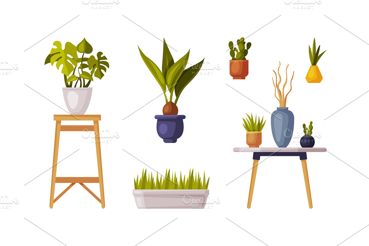 Decorative Houseplants in Pot and, an Object Illustration by TopVectors