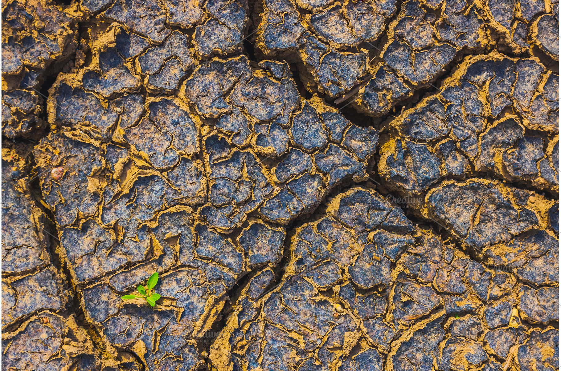 Cracked earth, metaphoric for, an Abstract Photo by Lukas Jonaitis SHOP