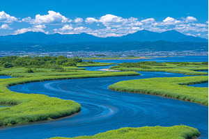 Kushiro Shitsugen national park, a Nature Photo by ZinetroN