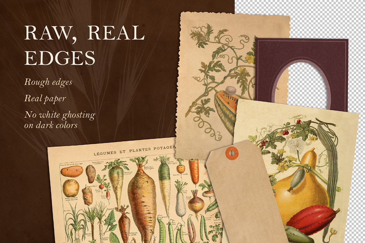 100 Vintage Autumn Ephemera, an Object Graphic by The Object Atlas (Photo 3 of 10)