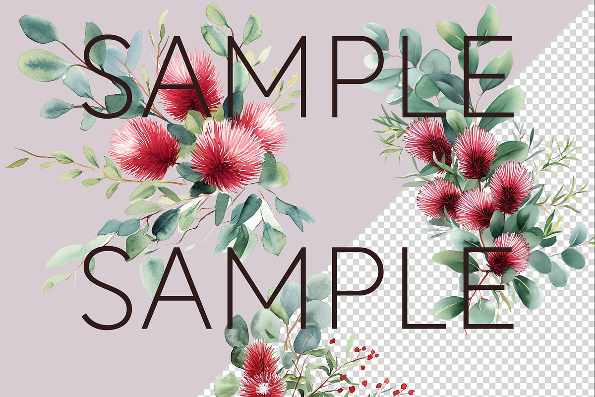 Australian Watercolur Flowers Mega, a Decorative Illustration by Pawcasso's Portraits (Photo 9 of 10)