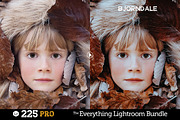 225 Lightroom Presets Bundle, an Action Add-On by Presetrain Co. (Thumbnail 10 of 13)