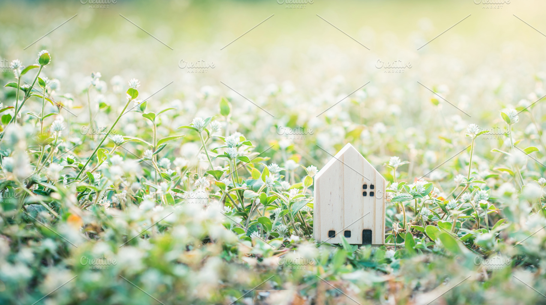 House model  in green field., a Nature Photo by Nednapa