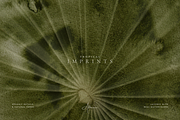 Organic Textured Backgrounds, a Background Graphic by Altea Design Studio (Thumbnail 7 of 20)