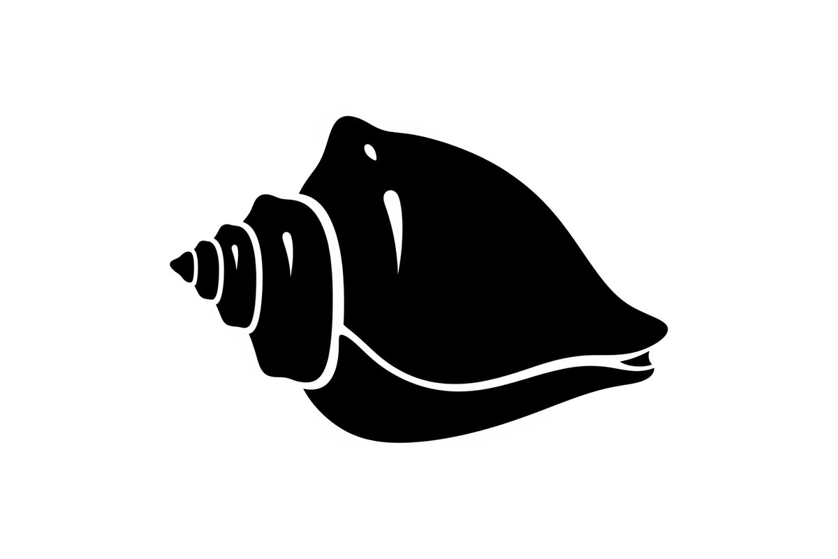 Shell Silhouette Vector Bundle, an Illustration by hafijul (Photo 16 of 48)